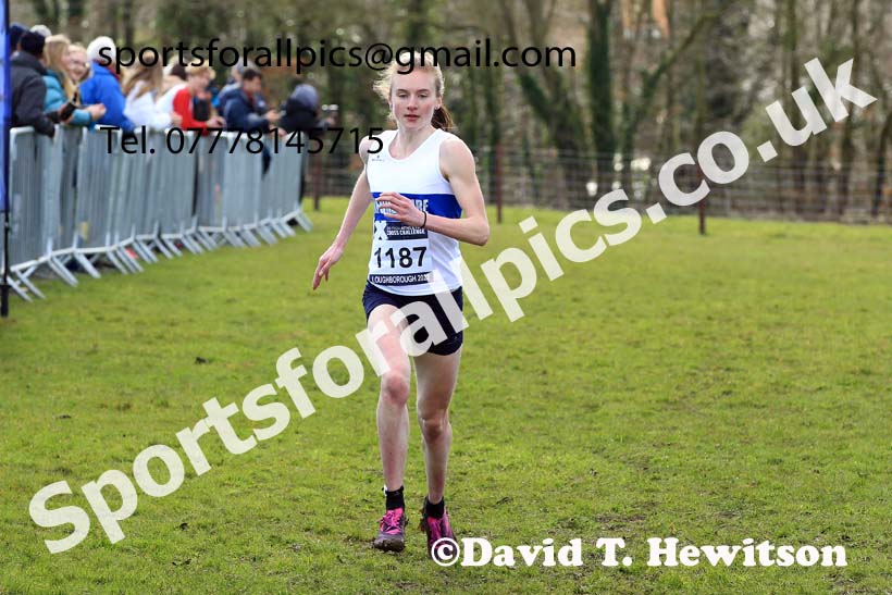 Senior Womens 2022 CAU Inter Counties Cross Country, Prestwold Hall, Loughborough.  Photo: David T. Hewitson/Sports for All Pics